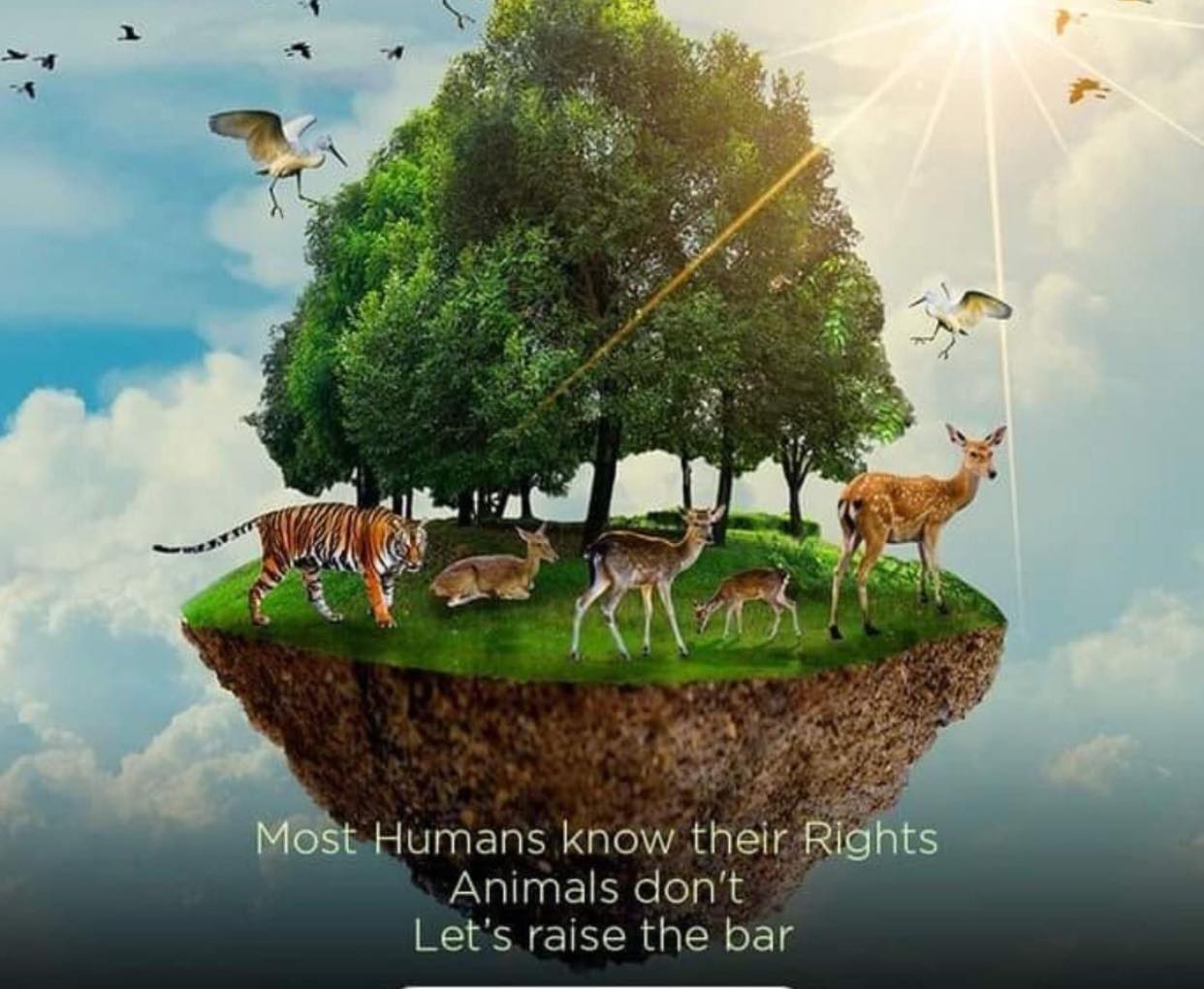 386647044_285668031041958_8702067030201605006_n