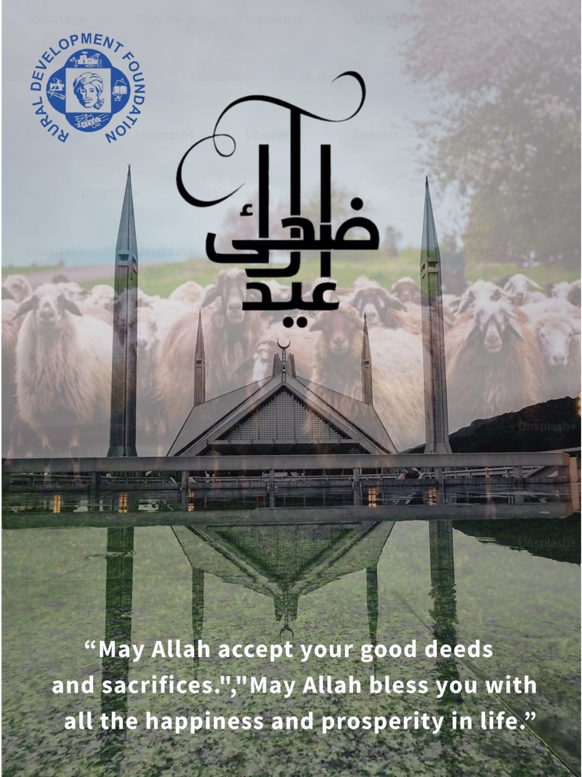 WhatsApp Image 2025-06-10 at 2.53.05 PM