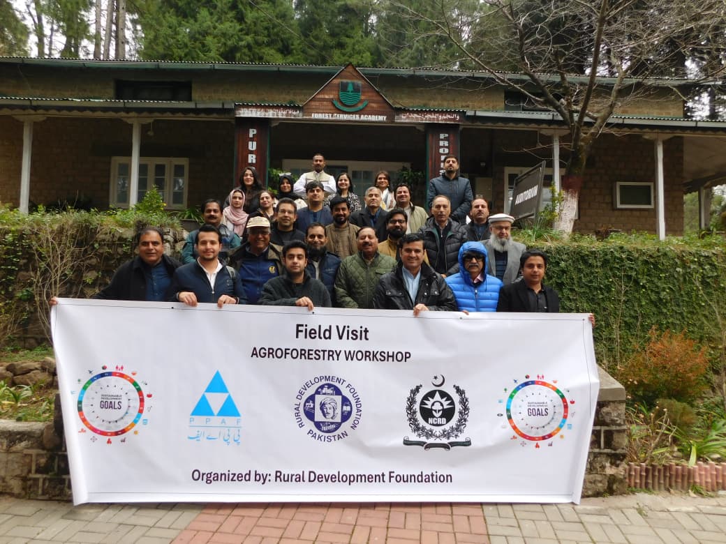 WhatsApp Image 2026-02-12 at 4.11.01 PM